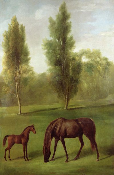 Une jument alezane et son poulain dans un paysage boisé, vers 1761-63 - George Stubbs