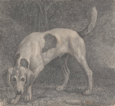 Un Foxhound sur la Piste - George Stubbs