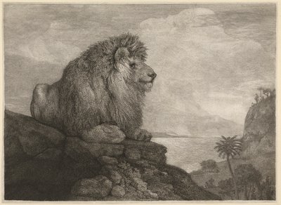 Un lion (Un lion reposant sur un rocher), gravé par l