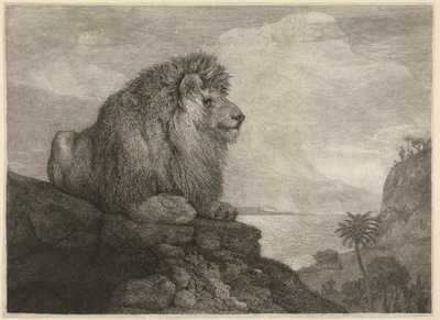 Un lion [Un lion reposant sur un rocher] - George Stubbs