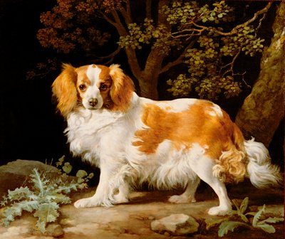 Un épagneul King Charles foie et blanc dans un paysage boisé - George Stubbs