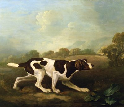 Un pointeur - George Stubbs