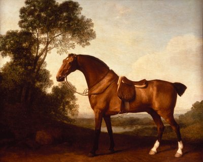 Un chasseur de la baie en selle - George Stubbs