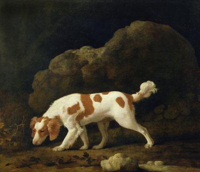 Un épagneul - George Stubbs