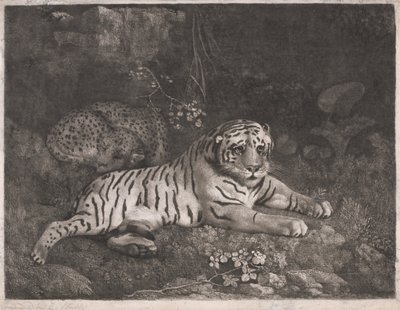 Un tigre et un léopard endormi - George Stubbs
