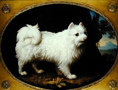 Un Spitz blanc, vers 1770 - George Stubbs