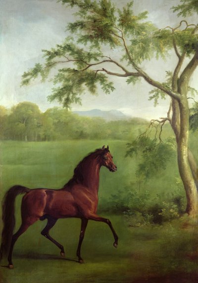 Un étalon arabe sous un arbre - George Stubbs