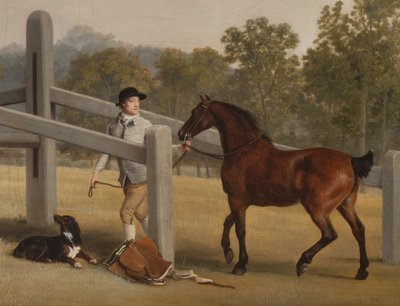 (détail) de William Henry Cavendish-Bentinck, 3e duc de Portland et son frère cadet Lord Edward, 1767-68 - George Stubbs