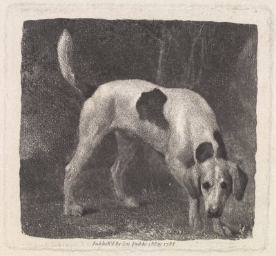 Chien (Un chien de chasse sur la piste) gravé par l