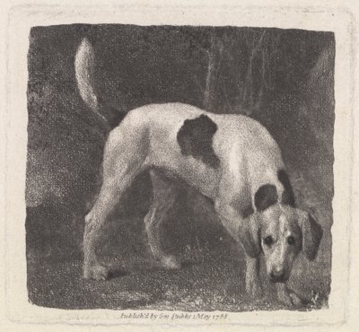 Chien [Un foxhound sur la piste] - George Stubbs