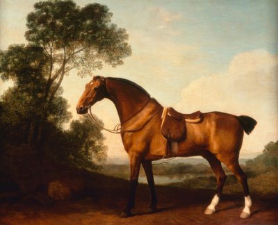 Un chasseur bai sellé - George Stubbs