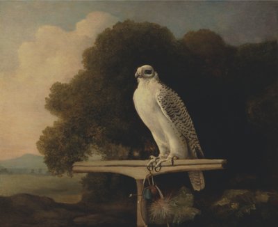 Faucon du Groenland - George Stubbs