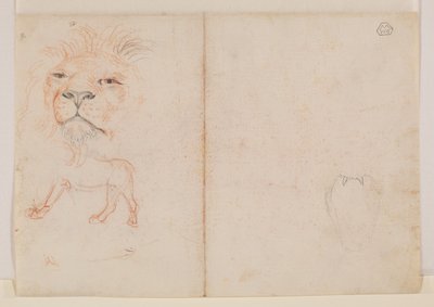 Tête de lion, verso, XVIIIe ou XIXe siècle - George Stubbs