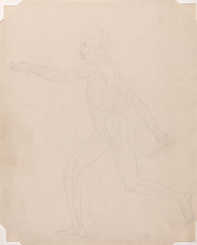 Figure humaine, vue latérale - George Stubbs