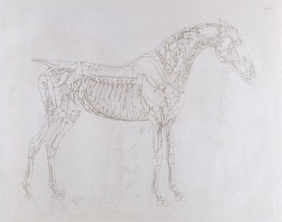 Illustration de 