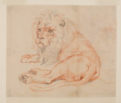Lion au repos, recto, 18ème ou 19ème siècle - George Stubbs