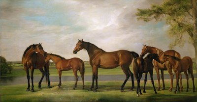 Juments et poulains perturbés par une tempête approchante, 1764-66 - George Stubbs