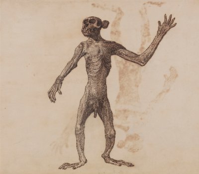 Singe debout, vue antérieure - George Stubbs