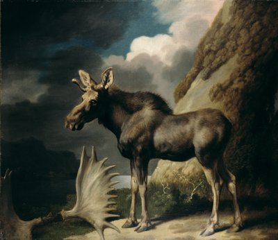 Élan, 1770 - George Stubbs