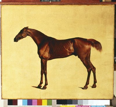 Pangloss - George Stubbs