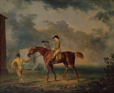 Sir Salomon, un cheval de course bai avec J.Singleton, Newmarket - George Stubbs
