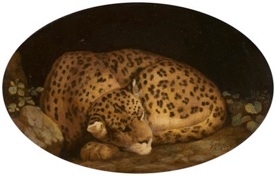 Léopard endormi - George Stubbs