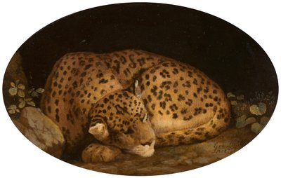 Léopard endormi - George Stubbs