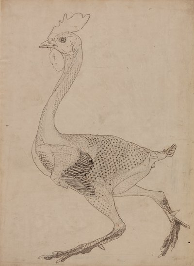 Étude d