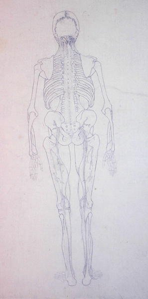 Étude de la figure humaine, vue postérieure, d