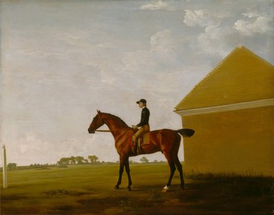 Turf, avec Jockey en l