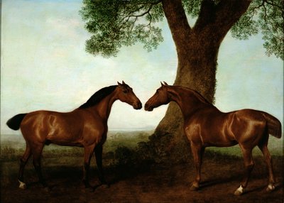 Deux chasseurs bai près d