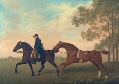 Deux chevaux, 1789 - George Stubbs