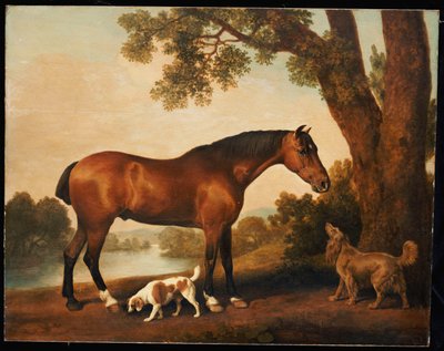 Image inconnue - George Stubbs