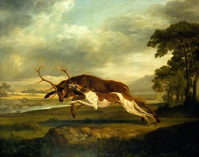 Image inconnue - George Stubbs