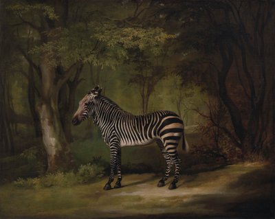 Zèbre - George Stubbs