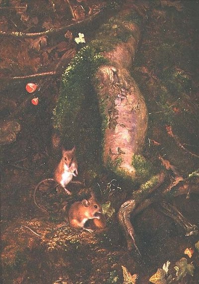 Souris des champs au pied d