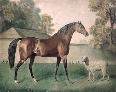 Dungannon - George Townley Stubbs