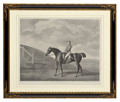 Citrouille - George Townley Stubbs