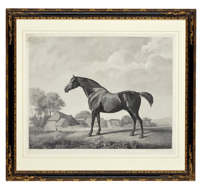 Églantier - George Townley Stubbs