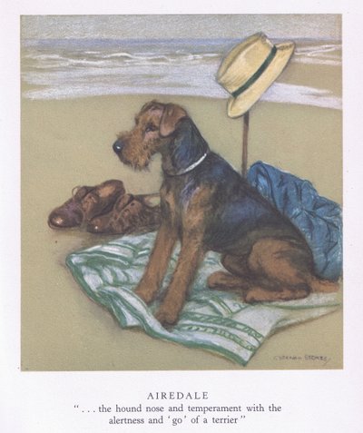Airedale (lithographie couleur) - George Vernon Stokes
