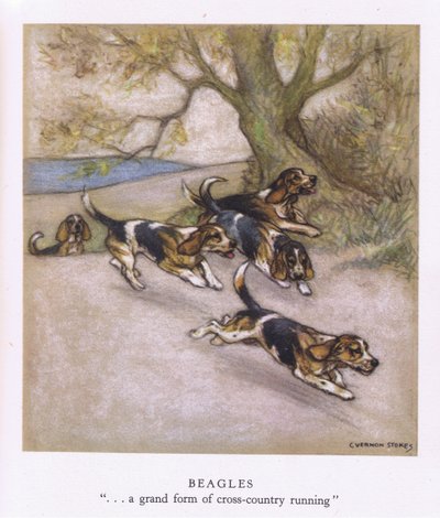 Beagles (lithographie couleur) - George Vernon Stokes