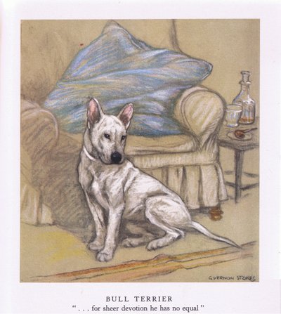 Bull Terrier (lithographie couleur) - George Vernon Stokes
