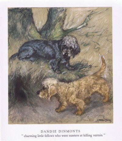Dandie Dimonts (colour litho) - George Vernon Stokes