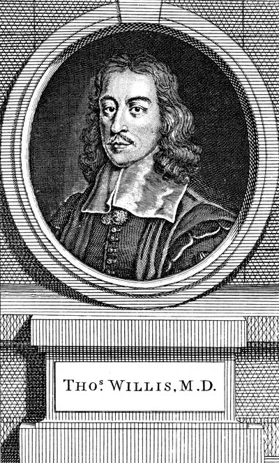 Thomas Willis, médecin anglais du 17ème siècle, 1742 - George Vertue