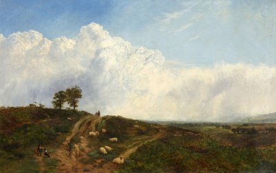 Carrefours sur la lande - George Vicat Cole
