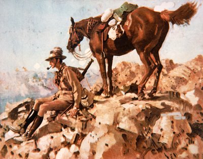 Cavalier léger australien, campagne du désert d