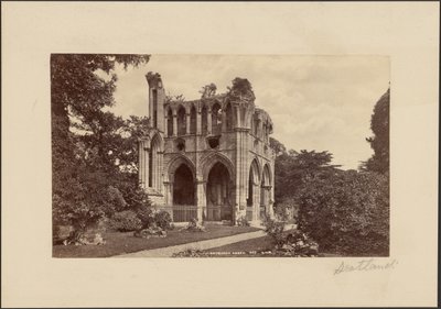 Abbaye de Dryburgh - George Washington Wilson