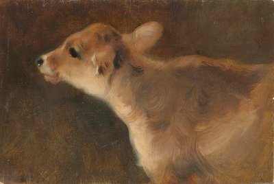 Un veau, 1879 - George Wiliam Horlor
