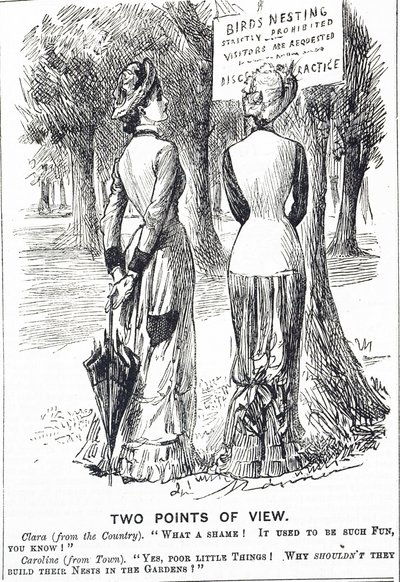 Caricature commentant la loi sur la protection des oiseaux de 1880 - George du Maurier