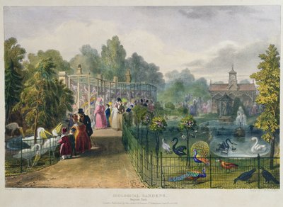 La Volière aux Jardins Zoologiques, Regent